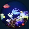 Coral Reef 9" Max Effect Wheel