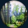 Forest 9" Max Effect Wheel