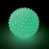 Glow in the Dark Sensory Ball
