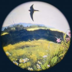 In the Country 6" Effect Wheel