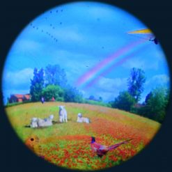 Meadow 9" Max Effect Wheel