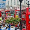 Town Soundscape Themed Media