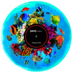 Tropical Fish 6" Effect Wheel
