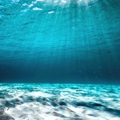 Underwater Soundscape Themed Media