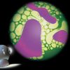 Space Projector Wheel - 'Violet Green'