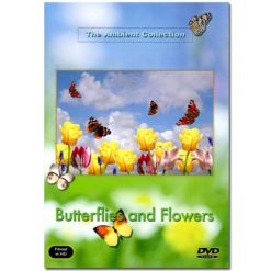 Butterflies and Flowers DVD
