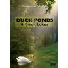 Duck Ponds and Swan Lakes DVD