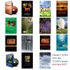 Set of 5 DVDs