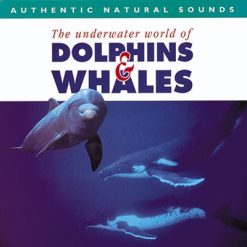 Dolphins & Whales CD