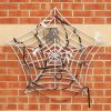 Weaving Spiders Web