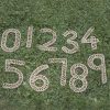 Weaving Numbers