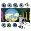 Solar LED Projector Bundle