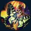 Butterflies 6" Effect Wheel
