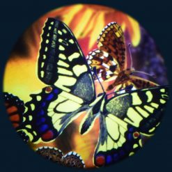 Butterflies 6" Effect Wheel