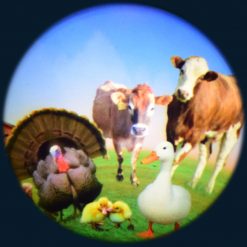 Farm Animals 6" Projector Wheel