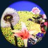 Flowers 6" Effect Wheel