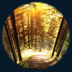 Seasoned Woods 6" Effect Wheel